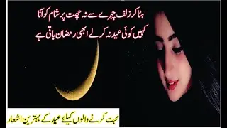 Eid 2 Line Best Poetry | Best Two Line Poetry | Best Sad Poetry By Tehzeeb o Adab