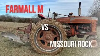 Farmall M and Case plow - food plot prep