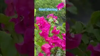 Unseen flower at home