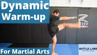 Dynamic Full Body Warmup for Boxing, Muay Thai, MMA and Grappling.