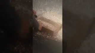 Arbortec