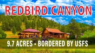 💥 NEW PRICE! REDBIRD CANYON