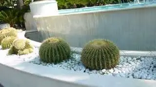 P1010061
