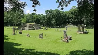 Ancient genome reveals demographic trajectories during the Classic Maya Period