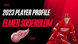 Elmer Soderblom Player Profile
