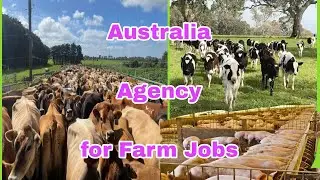 Australia | Top Recruitment agency for Farming
