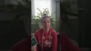 January 15 collective 