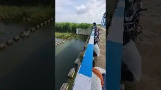 pahuj dam jhansi #viralvideo #shorts