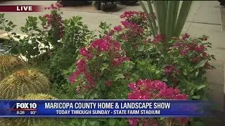 Cory's Corner: Maricopa County Home and Landscape Show