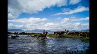 PROGRAMA CHILE PROFUNDO - MERCEDES RANCH - PATAGONIA CHILENA - Cap&iacute;tulo 4 Completo HD - MEGA