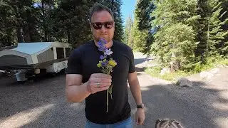 Camping at Tony Grove Lake in Utah & Exploring Ricks Spring (Natural Spring)
