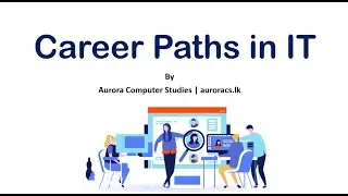 Career Paths in Information Technology (IT)