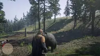 When grizzly attack... Just be a fuckin' badass :|