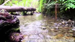 AdrenaSense / Adaptogenic Herbals for Stress