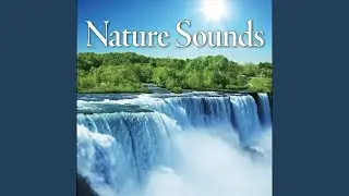 Nature Sounds &ndash; California Ocean Waves, Rain and Gentle Thunder Storms for Meditation