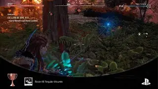 Horizon Forbidden West - Rode All Regular Mounts (BRONZE)