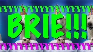 HAPPY BIRTHDAY BRIE! - EPIC Happy Birthday Song