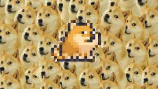 Doge song