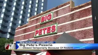 Mouse creates trouble at pizza restaurant