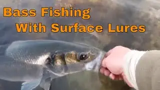 UK Bass fishing with surface lures- First Bass of the year.