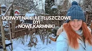 DIY wieszak na kule tłuszczowe | Nowy karmnik z Petgarden | Spacer po ogrodzie z kotami | Mrozy -14