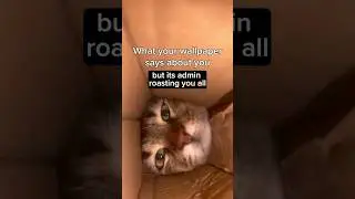 What Your Wallpaper Says About You (Roasted Edition)