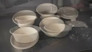Pulp Tek New To Go Bowls with Pulp/Plastic Lids - Restaurantware