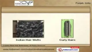 Human Hair Weft Extensions By Indian Remi Hair Extensions, Ludhiana