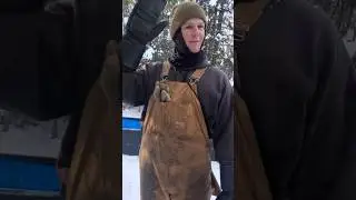 СЕКРЕТЫ ОХОТЫ НА ВОЛКОВ ФРАНКЛИНА 🤫 🐺 🍖
