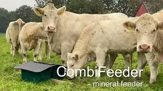 CombiFeeder mineral feeder