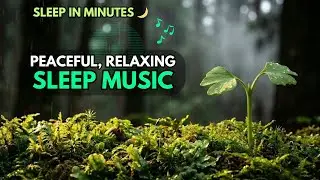 Fall Asleep Quickly | Calm Slow Piano with Rain Sound (White Noise) for Relaxation and Deep Sleep