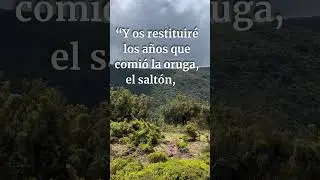 &iquest;Perdiste a&ntilde;os? Dios te dice esto hoy #fe #promesadivina #biblia
