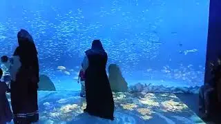 Children are playing at 3D Aquarium @e-s-creation 