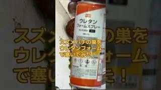 スズメバチの巣をウレタンフォームで塞いでみた🐝【週末殺蜂家】 #スズメバチ