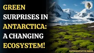 Antarctica&rsquo;s Green Patches Mapped for First Time | WION Podcast