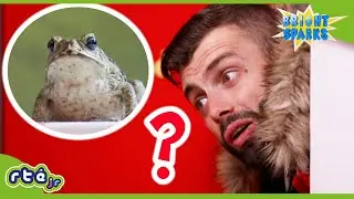 BRAND NEW: Bright Sparks | Where Has The Frog Gone?! 🐸 😲 | Season 3 Episode 1 | @RT&Eacute;jr