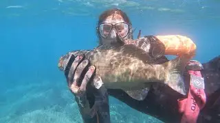 Spearfishing Coral Trout. Sailing Fitzroy Reef (Sailing Amoray) Ep25