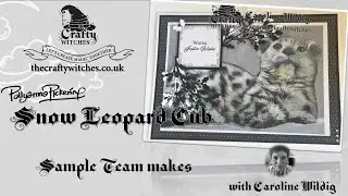 Snow Leopard Cub - Sample Team makes with Caroline Wildig