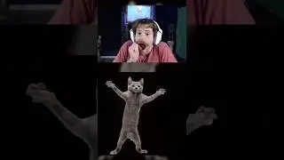The best channel point redeem! #streamer #horrorgaming #twitch #cats