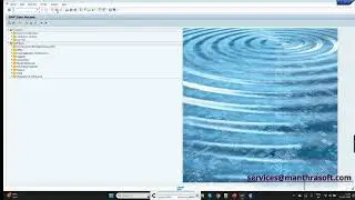 SAP FICO Module, Automation Testing Demo Using TOSCA