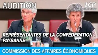 Les représentantes de la Confédération paysanne sont auditionnées à l'Assemblée nationale