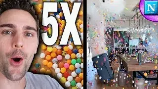 Ping Pong Explosion 5X w/David Dobrik| Nickipedia