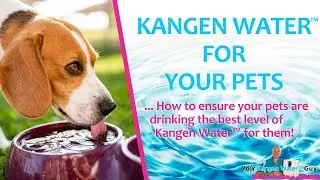 What Is The Best Kangen Water&trade; pH Level To Give My Dog or Cat?