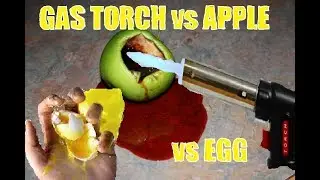 APPLE vs GAS TORCH vs EGG