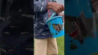 Bug Hunt & Fishing Fun! Watch This Amazing Lake Adventure #shorts