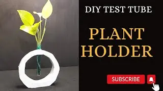 Money plant holder DIY 🌿l test tube plant holder l white cement DIY #diy #art #craft #planteridea