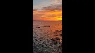 🐶Even our furry friends can't resist the mesmerizing sunrises in Malta! 🇲🇹❤️