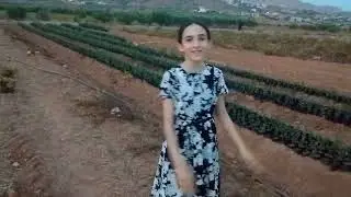 اللهم اسقي عبادك و بهيمتك و انشر رحمتك 🤲💞