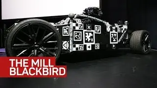 The real star of that car commercial