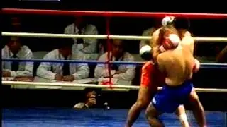 Sanda vs Karate